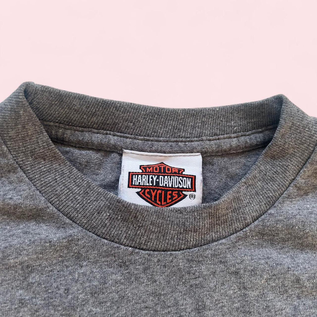 Harley Davidson flame tee image 1